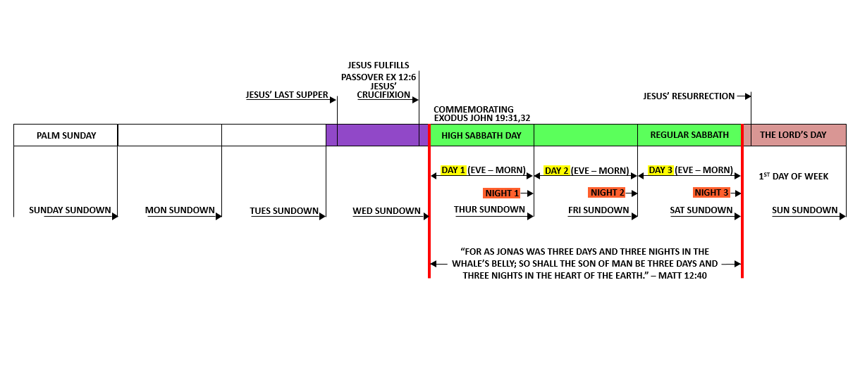 THE RAPTURE TIMELINE CHART